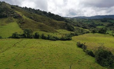 FINCA  PLANA DE 25 CUADRAS EN EL MUNICIPIO DE LA UNION
