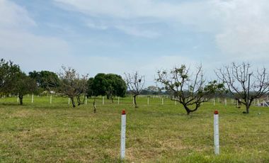 vendo finca turística en lejanías meta