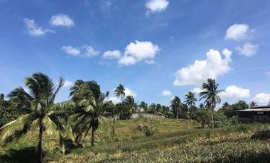 Silang Cavite Farm Lot For Sale 1 Hectare