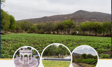 En venta Rancho de 100 hectáreas en Uriangato,Guanajuato