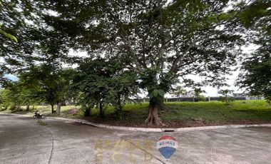 For Sale: 668 SQM Vacant Residential Lot in Belle Reve Sta. Rosa Laguna