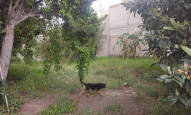 VENTA DE TERRENO ESCRITURADO EN CASA BLANCA CON MEDIDAS DE 15.40 M DE FRENTE X 15.10 DE FONDO.               Calle adoquinada.          Se acepta crediterreno Infonavit.