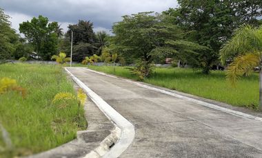 For Sale 125 Sqm Residential Lot in Carcar, Cebu (Buildable Land)