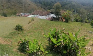 Venta Finca Ganadera y Agrícola Santo Domingo Antioquia
