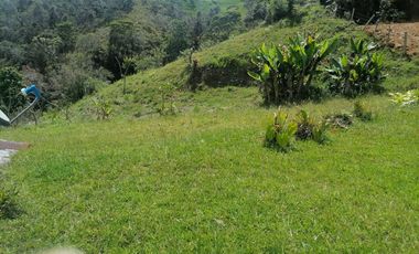 Venta Finca Ganadera y Agrícola Santo Domingo Antioquia