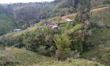 Venta Finca Ganadera y Agrícola Santo Domingo Antioquia