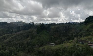 Venta Finca Ganadera y Agrícola Santo Domingo Antioquia