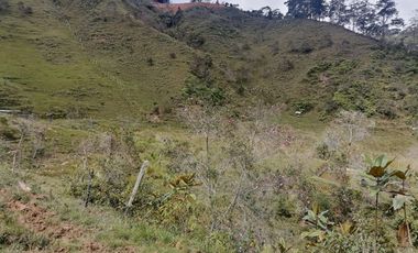 Venta Finca Ganadera y Agrícola Santo Domingo Antioquia