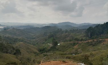 Venta Finca Ganadera y Agrícola Santo Domingo Antioquia
