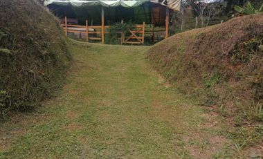 Venta Finca Ganadera y Agrícola Santo Domingo Antioquia