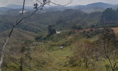 Venta Finca Ganadera y Agrícola Santo Domingo Antioquia