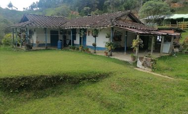 Venta Finca Ganadera y Agrícola Santo Domingo Antioquia