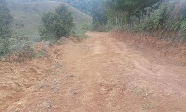 Venta Finca Ganadera y Agrícola Santo Domingo Antioquia