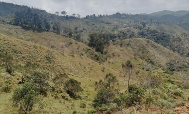 Venta Finca Ganadera y Agrícola Santo Domingo Antioquia