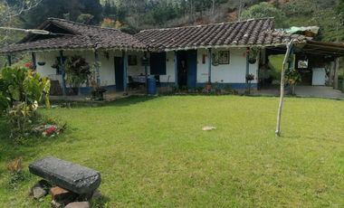 Venta Finca Ganadera y Agrícola Santo Domingo Antioquia