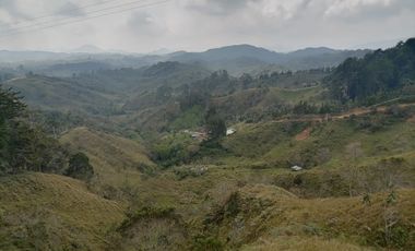 Venta Finca Ganadera y Agrícola Santo Domingo Antioquia
