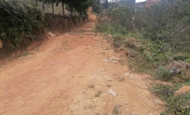 Venta Finca Ganadera y Agrícola Santo Domingo Antioquia