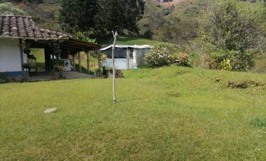 Venta Finca Ganadera y Agrícola Santo Domingo Antioquia