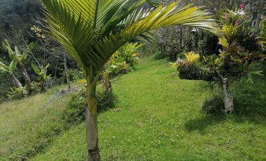Venta Finca Ganadera y Agrícola Santo Domingo Antioquia