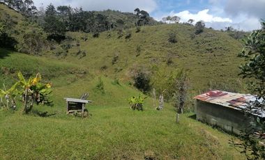 Venta Finca Ganadera y Agrícola Santo Domingo Antioquia