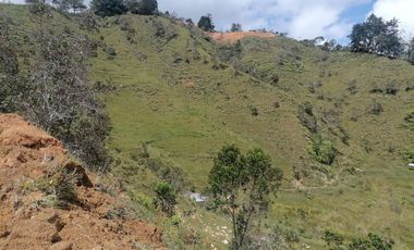 Venta Finca Ganadera y Agrícola Santo Domingo Antioquia