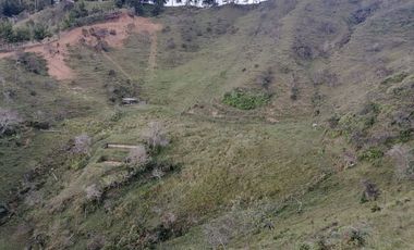 Venta Finca Ganadera y Agrícola Santo Domingo Antioquia