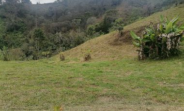 Venta Finca Ganadera y Agrícola Santo Domingo Antioquia