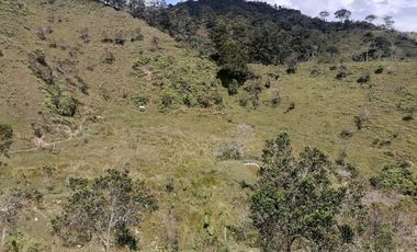 Venta Finca Ganadera y Agrícola Santo Domingo Antioquia