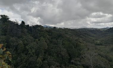 Venta Finca Ganadera y Agrícola Santo Domingo Antioquia