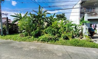 Vacant Lot for Sale in Las Pinas