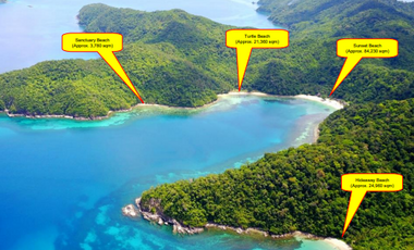 Beach Property for sale in Palawan