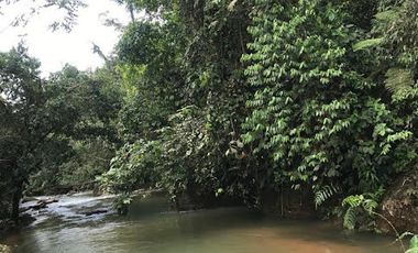 Venta Finca 46 Hectáreas en Puerto Quito.
