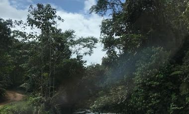Venta Finca 46 Hectáreas en Puerto Quito.