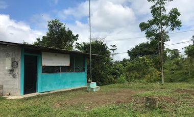 Venta Finca 46 Hectáreas en Puerto Quito.