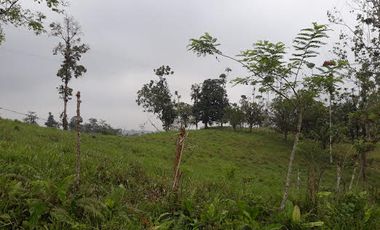 Venta Finca 46 Hectáreas en Puerto Quito.