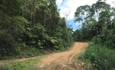 Venta Finca 46 Hectáreas en Puerto Quito.