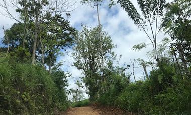 Venta Finca 46 Hectáreas en Puerto Quito.