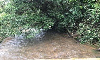 Venta Finca 46 Hectáreas en Puerto Quito.
