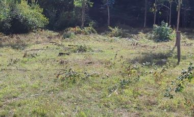 PARCELA DE 2,5 HECTÁREAS EN LOS GUINDOS