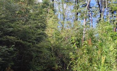 PARCELA DE 2,5 HECTÁREAS EN LOS GUINDOS