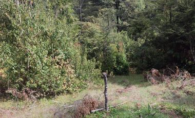 PARCELA DE 2,5 HECTÁREAS EN LOS GUINDOS