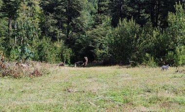 PARCELA DE 2,5 HECTÁREAS EN LOS GUINDOS