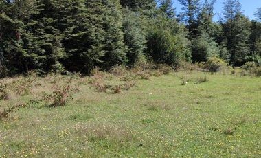 PARCELA DE 2,5 HECTÁREAS EN LOS GUINDOS