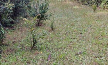 PARCELA DE 2,5 HECTÁREAS EN LOS GUINDOS