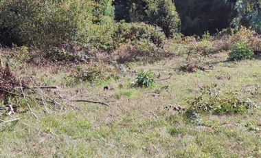 PARCELA DE 2,5 HECTÁREAS EN LOS GUINDOS