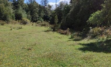 PARCELA DE 2,5 HECTÁREAS EN LOS GUINDOS