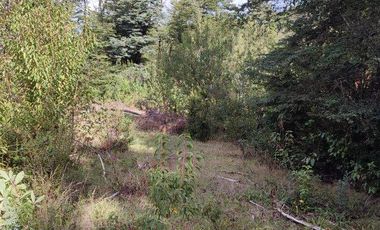 PARCELA DE 2,5 HECTÁREAS EN LOS GUINDOS