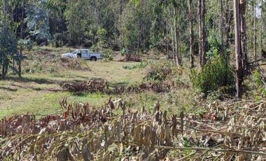 PARCELA DE 2,5 HECTÁREAS EN LOS GUINDOS