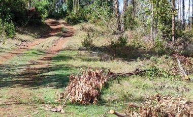 PARCELA DE 2,5 HECTÁREAS EN LOS GUINDOS