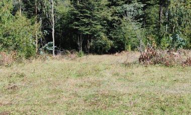 PARCELA DE 2,5 HECTÁREAS EN LOS GUINDOS